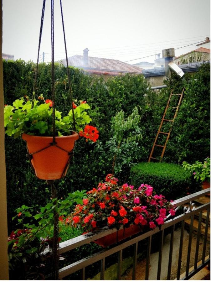 The Traditional Greek House Ιωάννινα Εξωτερικό φωτογραφία